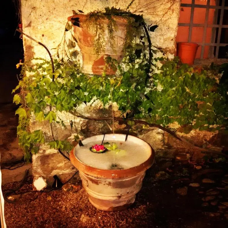 Domaine D'ostriconi-l'agriate Café