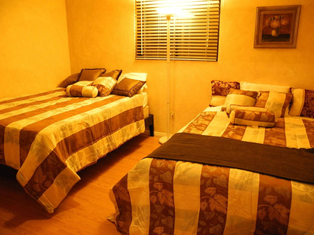 Tao Cabin 4