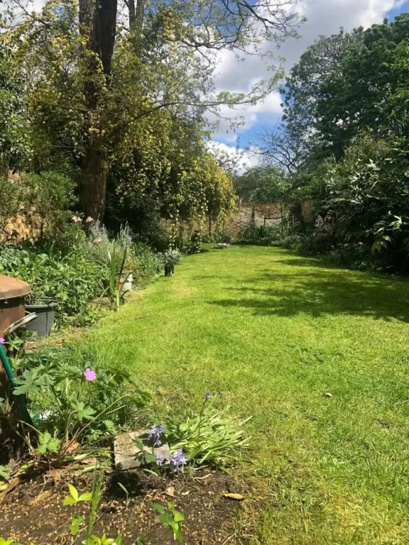 Cozy 1 Bedroom Flat in Camberwell
