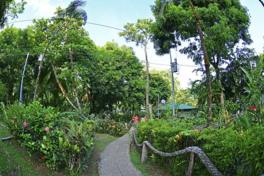 Poor Mans Paradise Lodge
