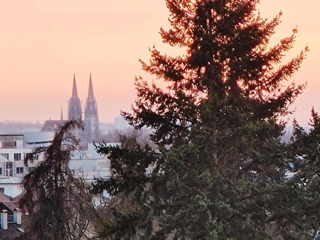 Domblick Regensburg