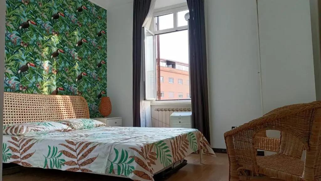 Colosseo Kokedama rooms