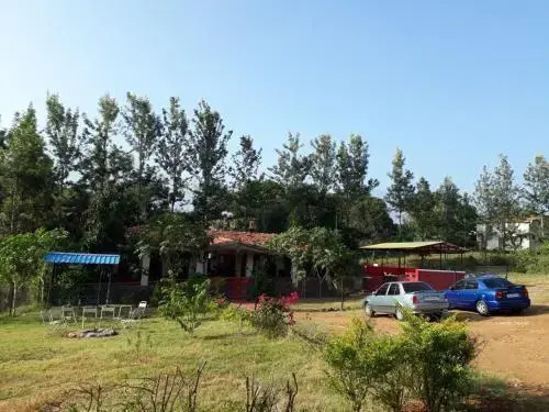 Wild Valley Nature Club