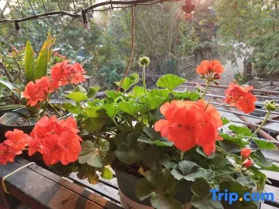 Yuan Zili Homestay
