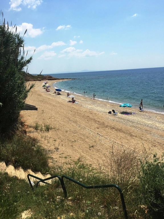 Estate Irene