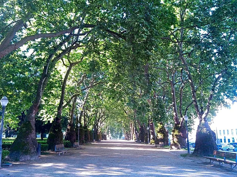 Fils Place