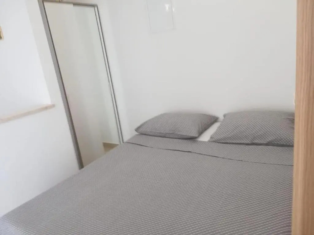 Apartment Ivana