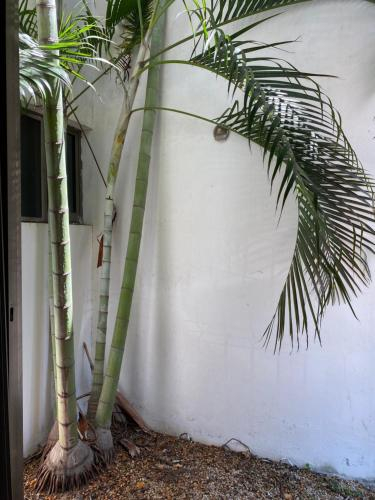 Condo Calle 28