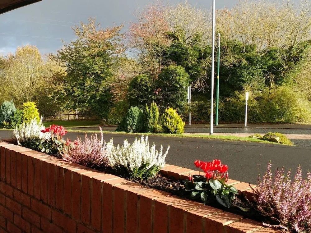 Swan Studios