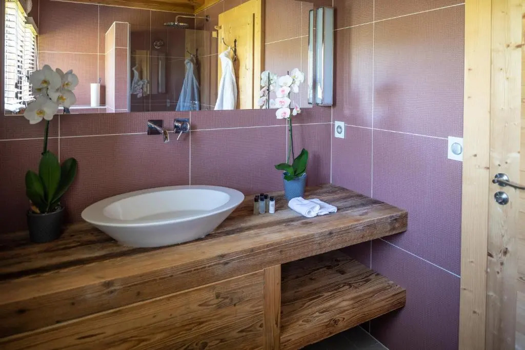 Chalet de l'Atray - 1066