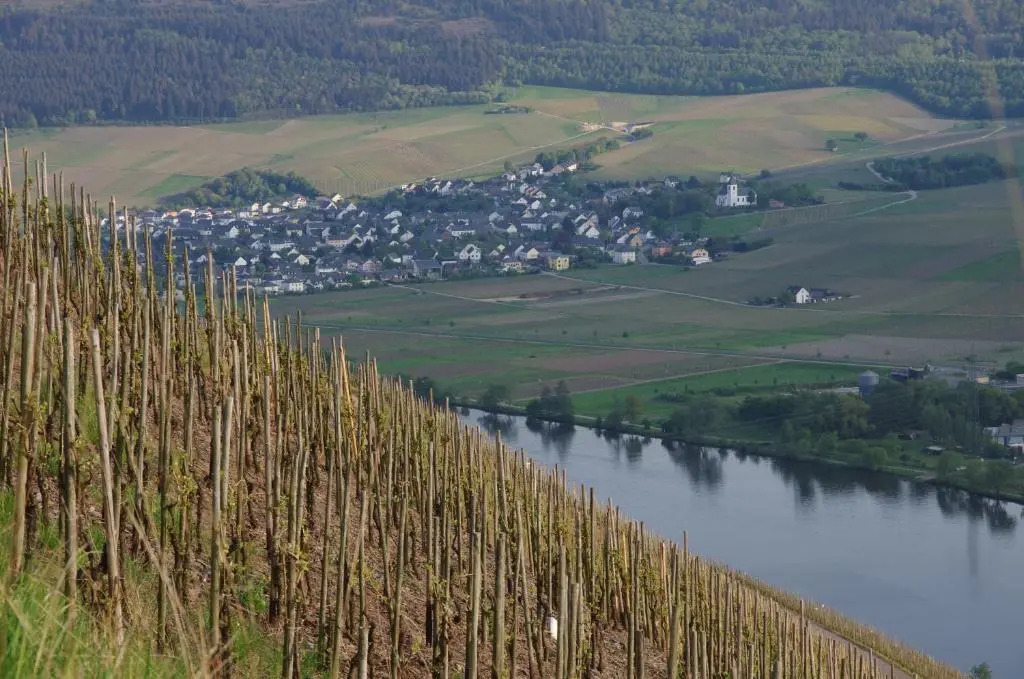 Weingut Weich
