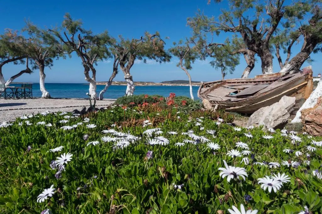 Kalypso Hotel