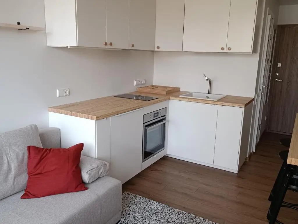 Stylish Studio in Central Vilnius