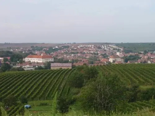 Hotel Albor