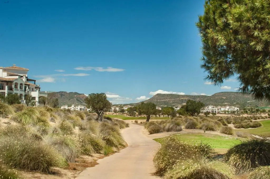 Modern Homely Ground floor 2 Bed Apartment in Hacienda Riquelme EO1003