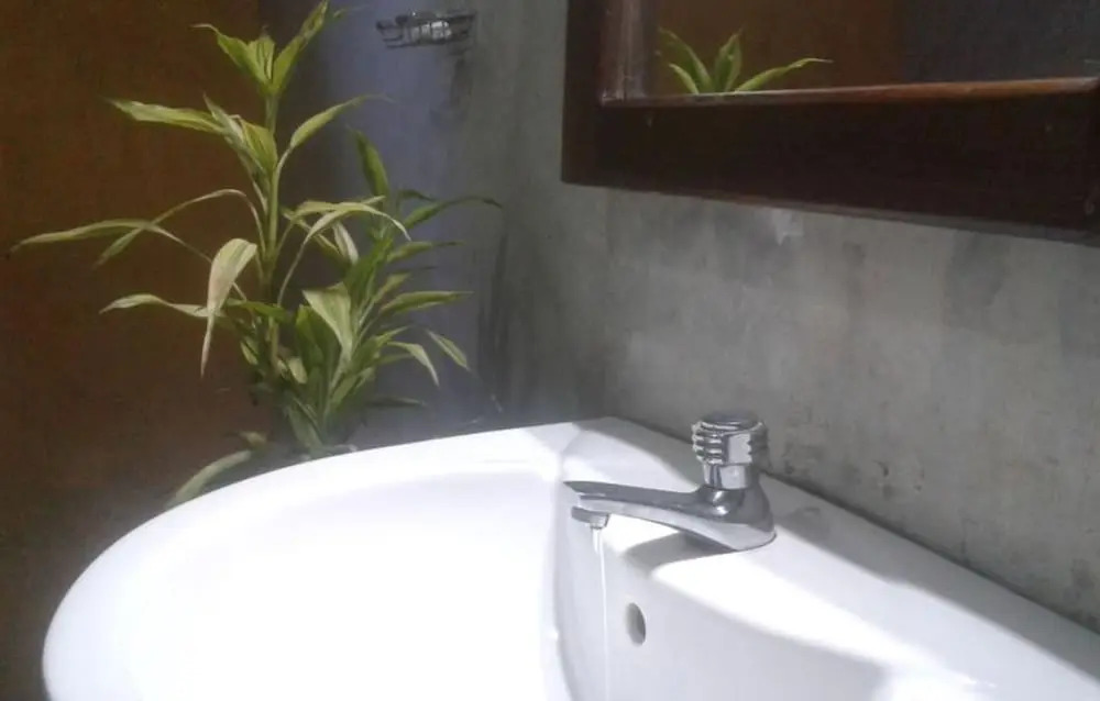Mango Tree House