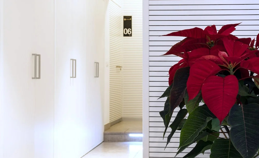 Urban Chic House 2.0