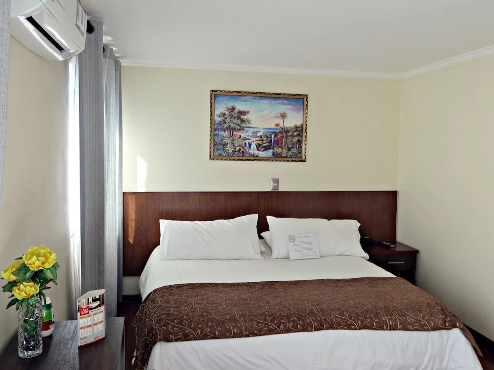 Hotel Newen