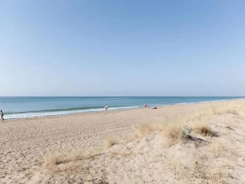 Poema - Apartment In Urbanitzacio Platja Doliva