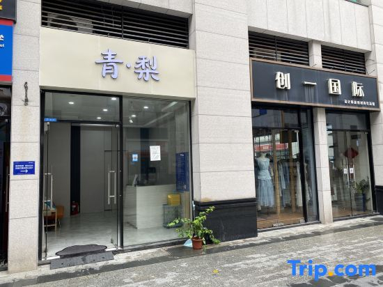 Qingli Apartment(Dongguan Railway Station Huixing Commercial Center Store)