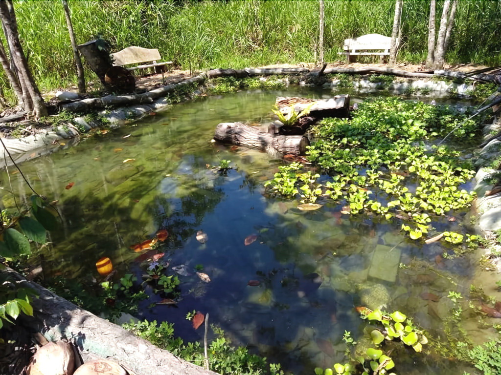 Chosa Manglar Suites & Cabins