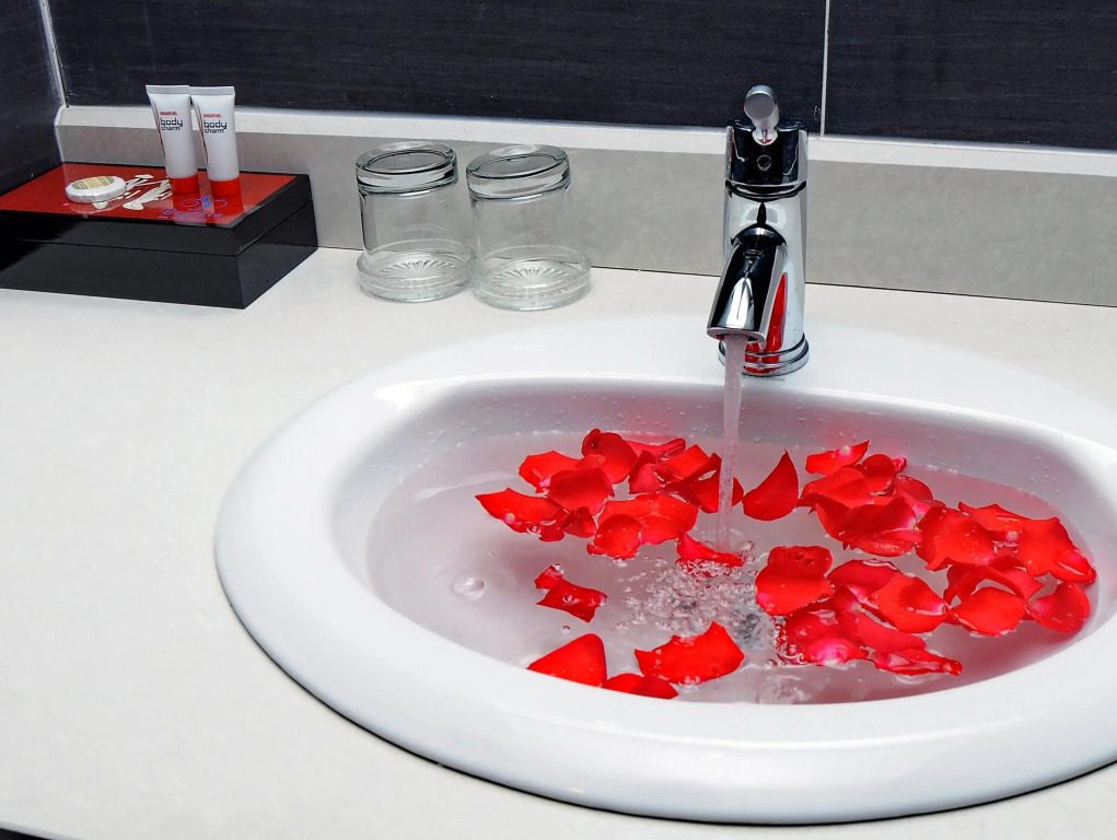 Begonia Nha Trang Hotel