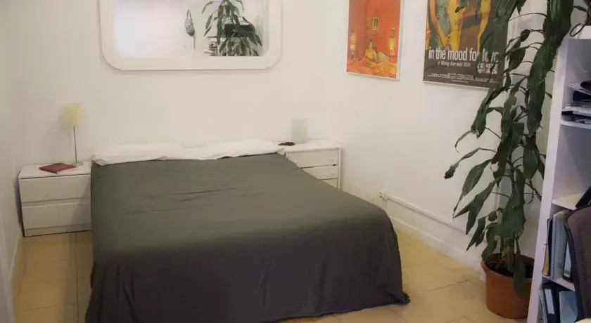 Raval BCN Apartament