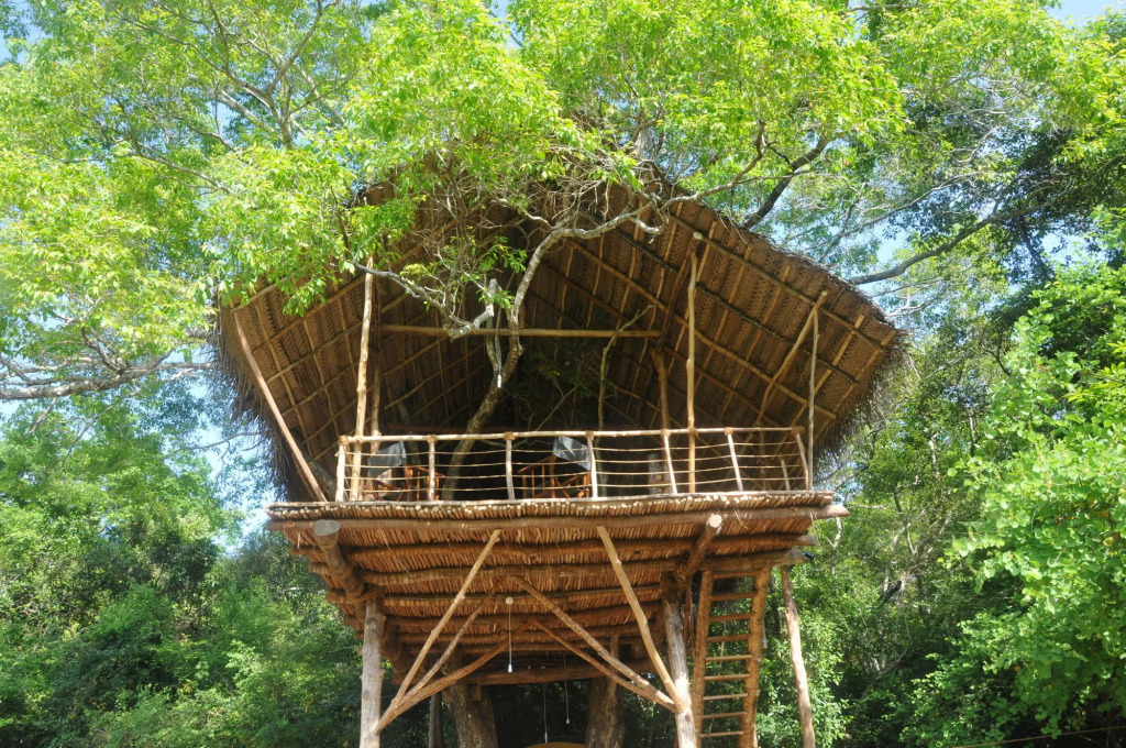 Back of Beyond - Wild Haven
