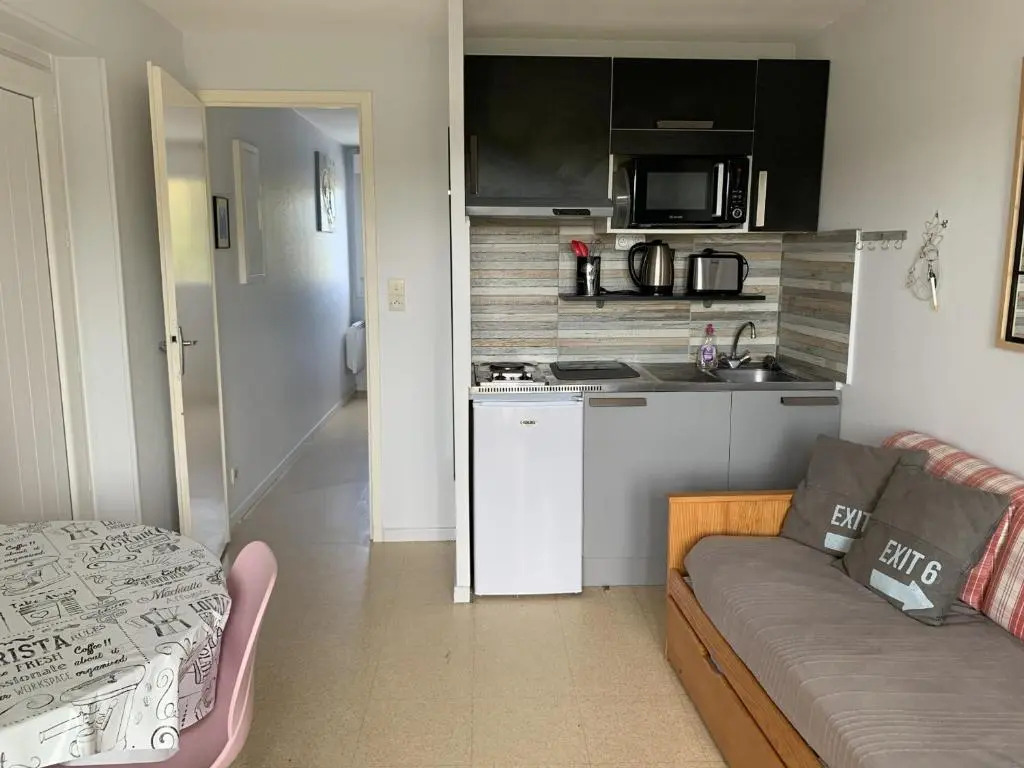 Appartement La Roche-Posay, 2 pièces, 3 personnes - FR-1-541-20