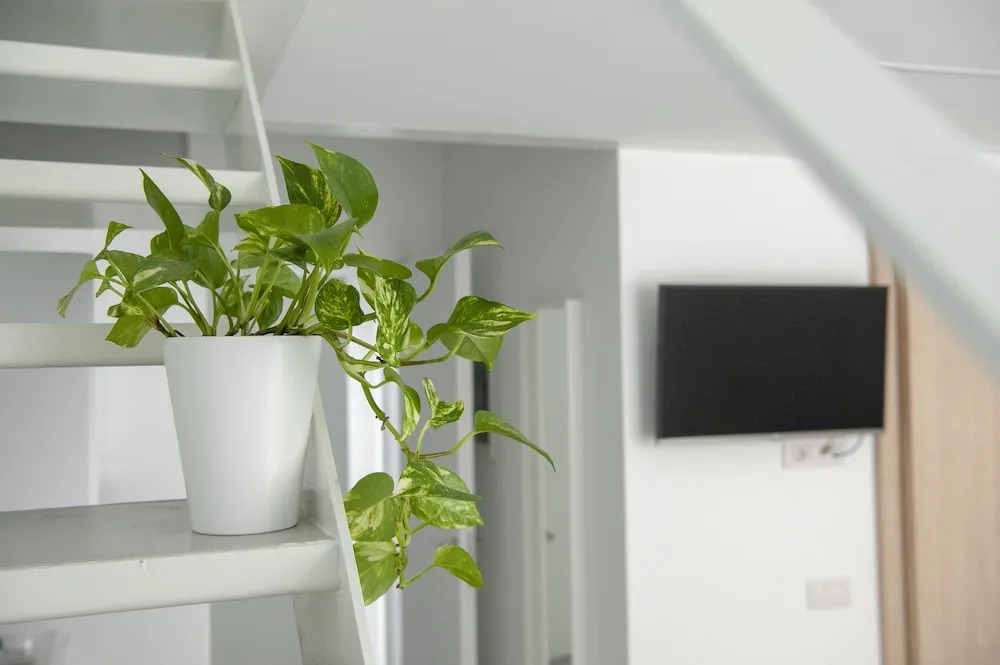 Brand new apartments Ortiquattro