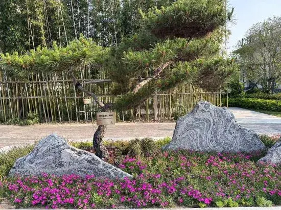 Zhoukou City Guest House