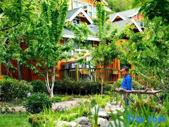 Lixian Muya star cabin Manor