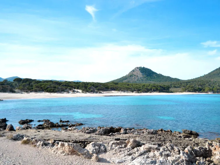 Villa Dream Son Jaumell
