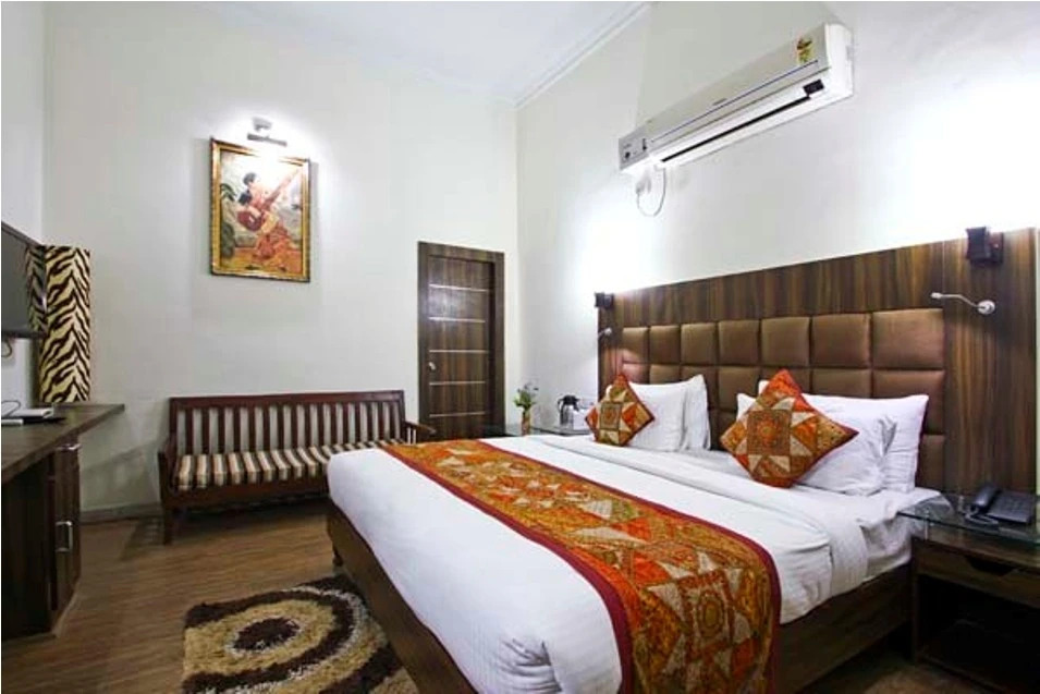 Dolphinn Agra