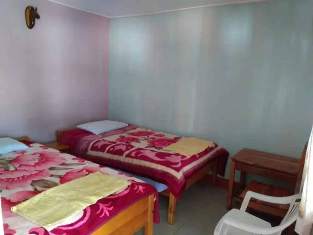 Too Guest House
