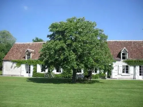 La Touche