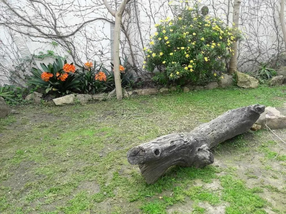 Casa del arbol hostel