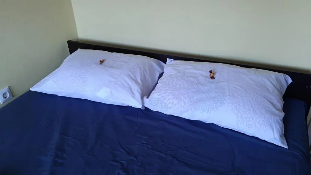 Apartman 015 LiVe