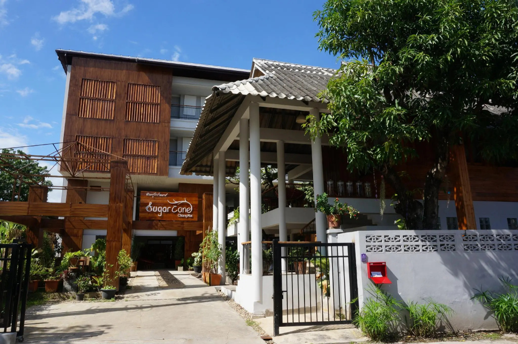 SugarCane Chiang Mai