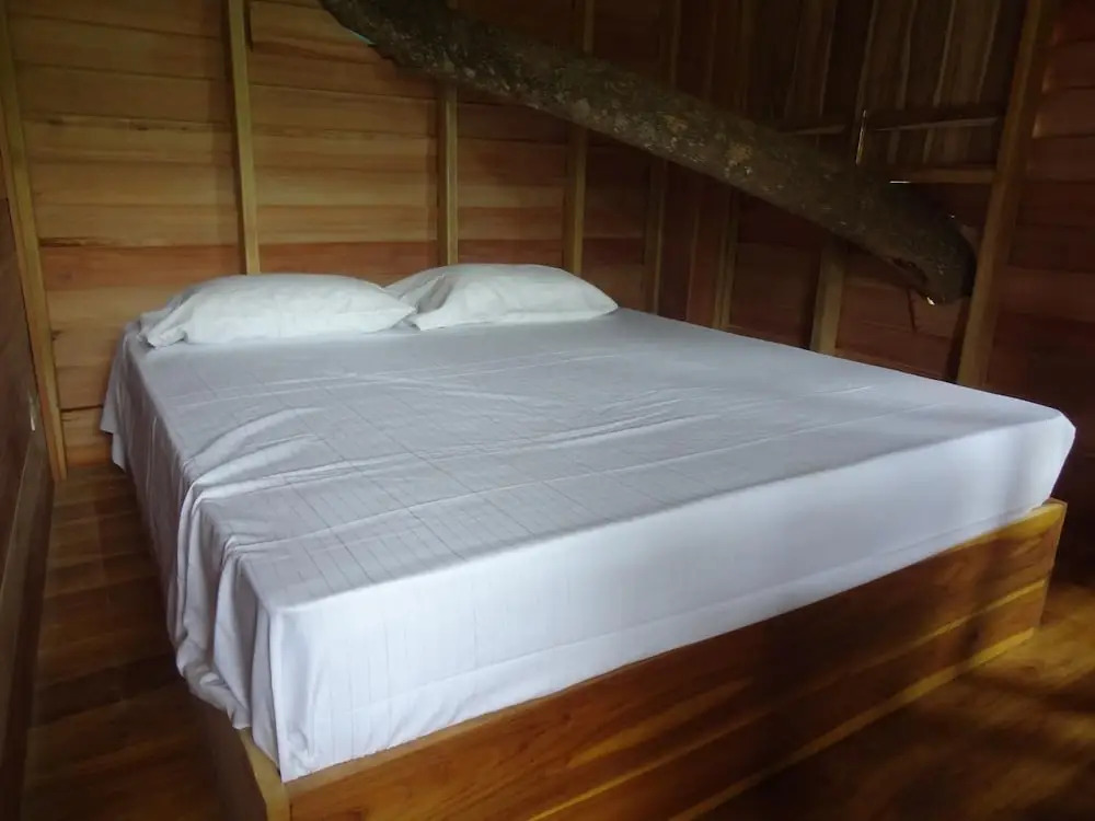 Wilpattu Tree House
