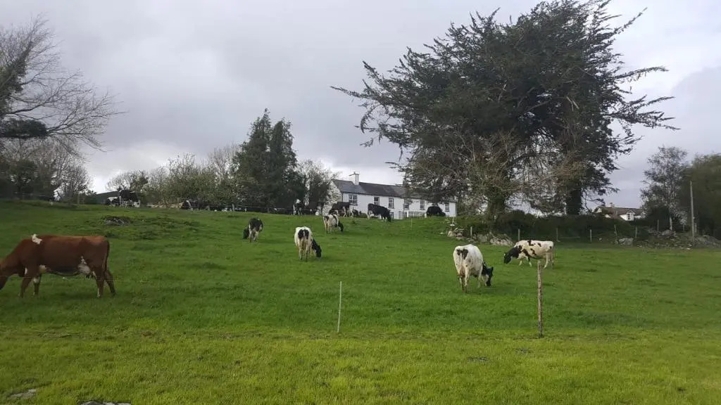 Gortamullen House, Kenmare