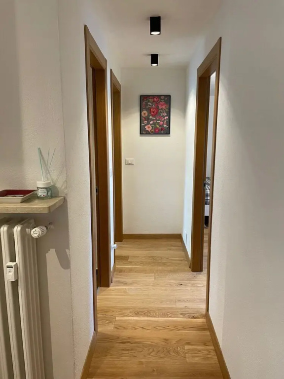 New Newly Renovated Apartment Palleusieux