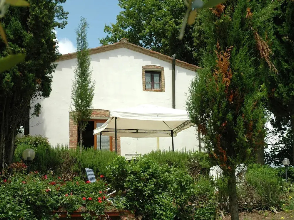 Wine, Good Food, Nature, art