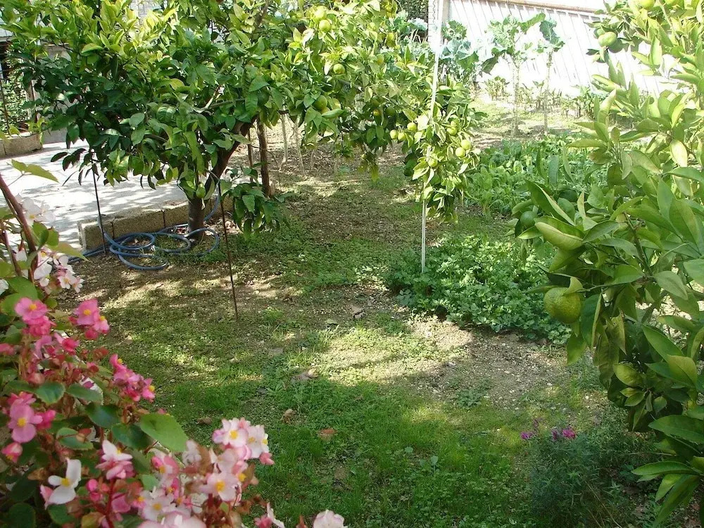 Zdravko - 150 m From Sandy Beach - A3