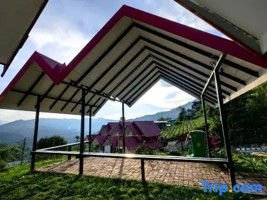 KUNDASANG MOUNT GARDEN