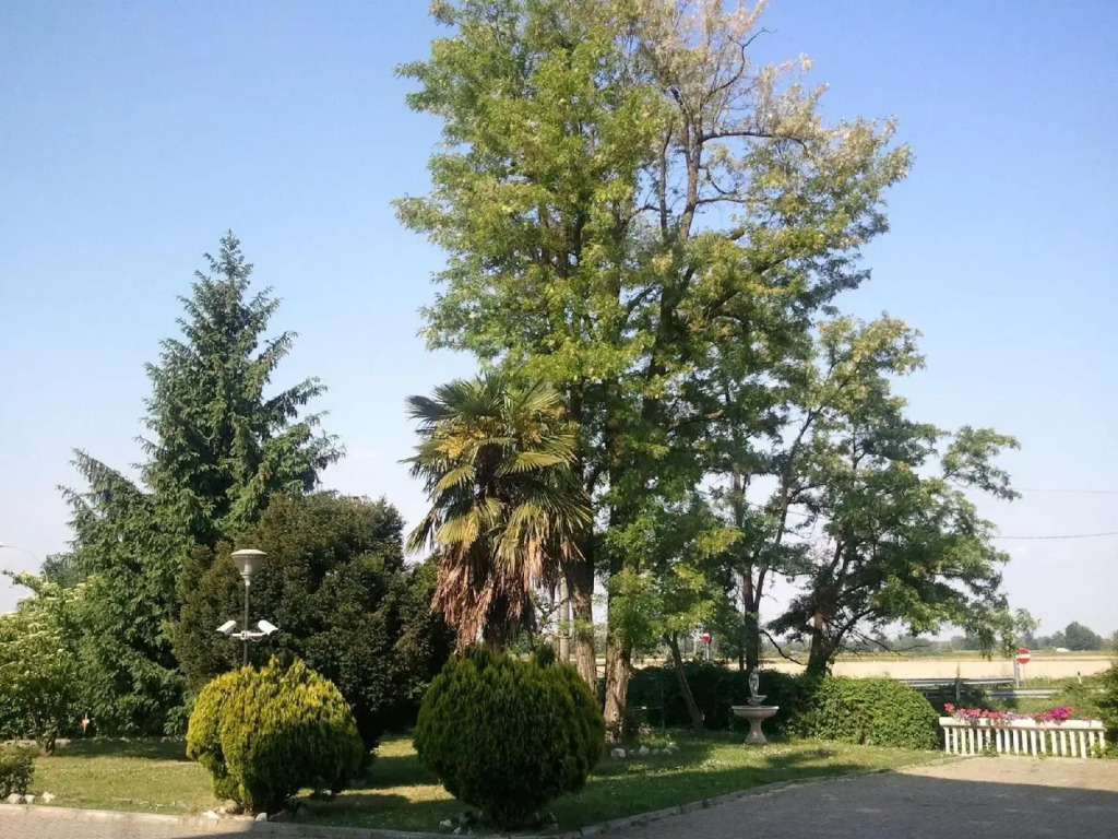 Hotel Europa Milano