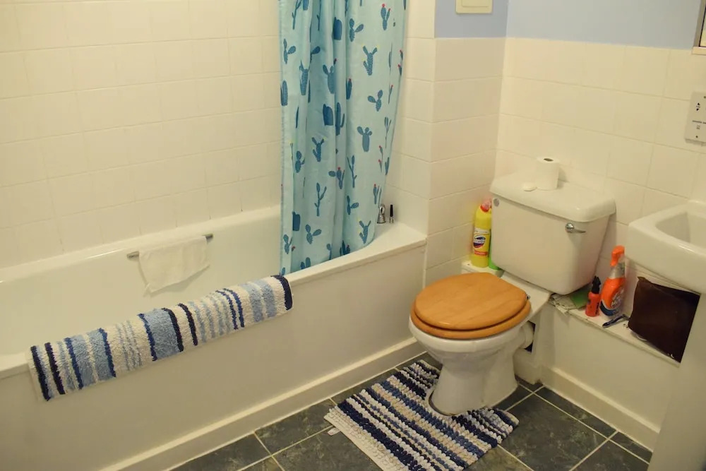 1 Bedroom Apartment in Dalston With Balcony
