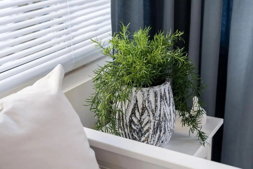 Sanhaus Apartments - TOLEDO - przytulne apartamenty 3 minuty od plaży