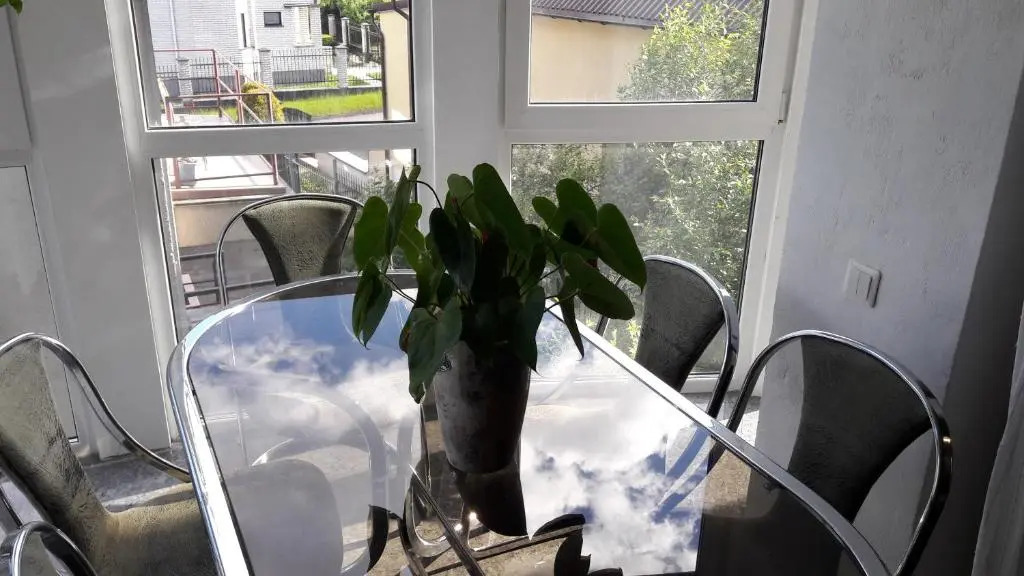 Vilnius Luxury Apartment 1