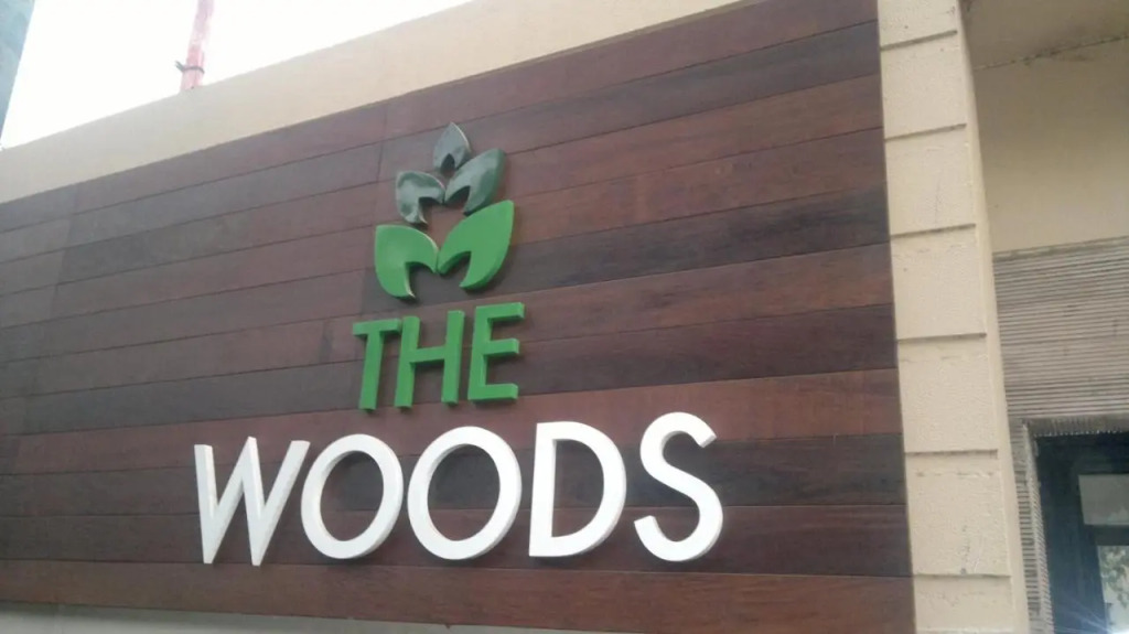 The Woods
